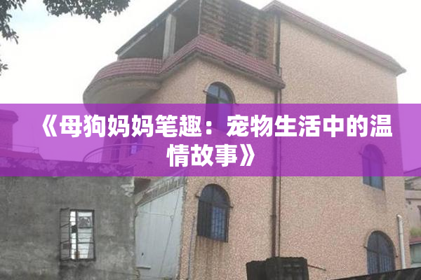 《母狗妈妈笔趣：宠物生活中的温情故事》