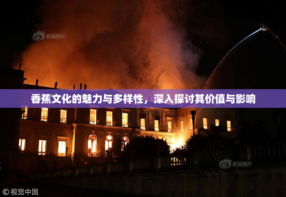 香蕉文化的魅力与多样性，深入探讨其价值与影响