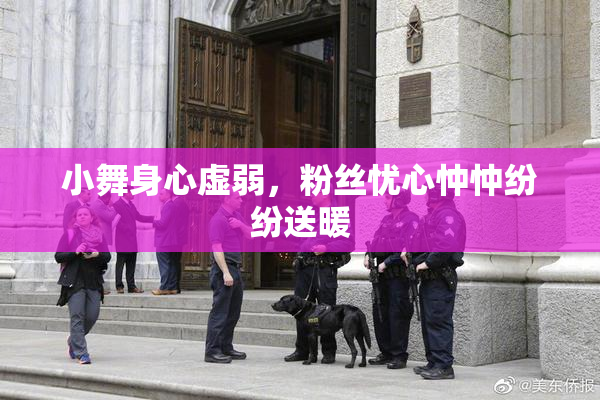 小舞身心虚弱，粉丝忧心忡忡纷纷送暖