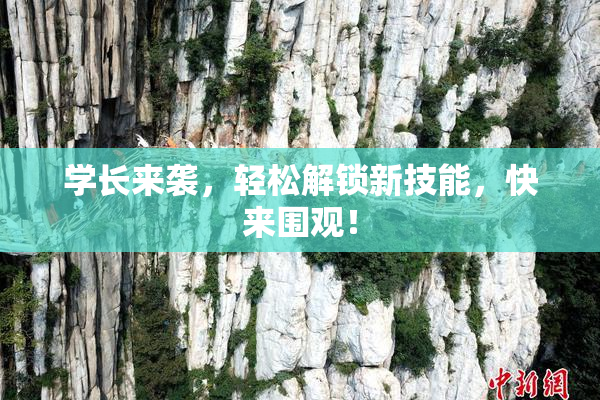学长来袭，轻松解锁新技能，快来围观！