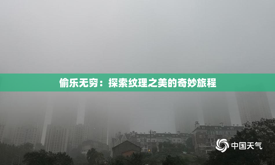 偷乐无穷：探索纹理之美的奇妙旅程