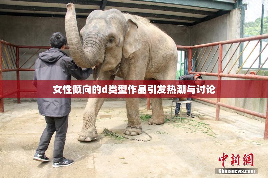 女性倾向的d类型作品引发热潮与讨论