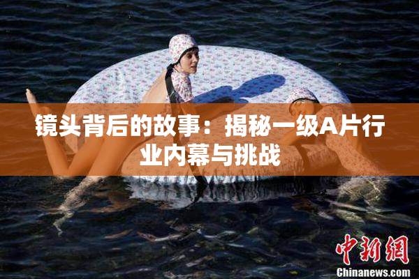 镜头背后的故事：揭秘一级A片行业内幕与挑战