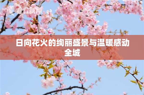 日向花火的绚丽盛景与温暖感动全城