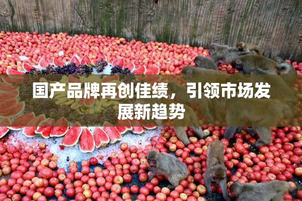国产品牌再创佳绩，引领市场发展新趋势