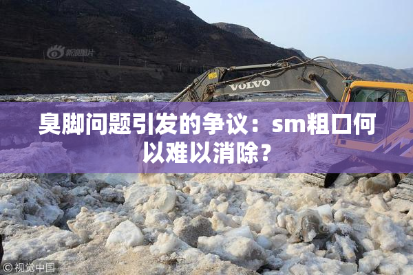 臭脚问题引发的争议：sm粗口何以难以消除？