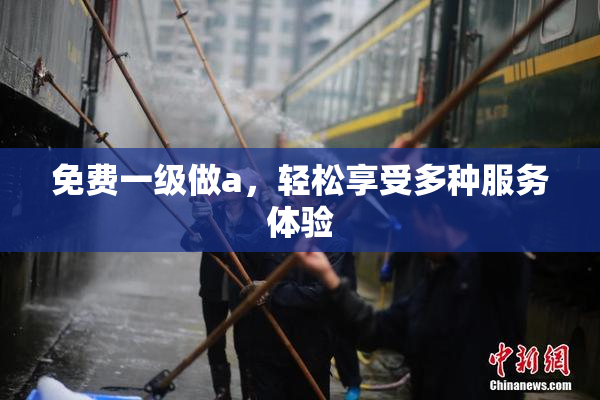 免费一级做a，轻松享受多种服务体验