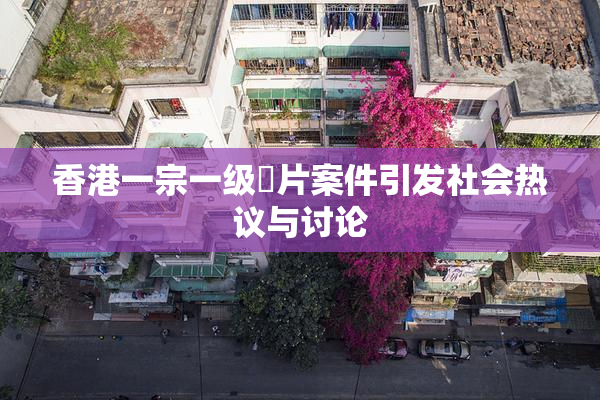 香港一宗一级婬片案件引发社会热议与讨论