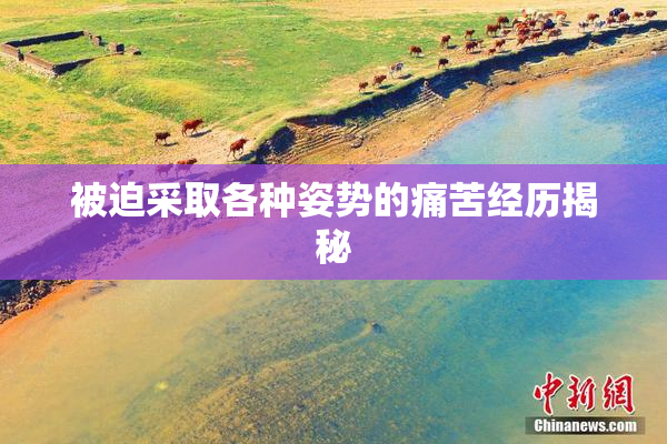 被迫采取各种姿势的痛苦经历揭秘