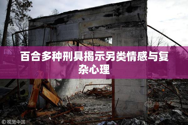 百合多种刑具揭示另类情感与复杂心理