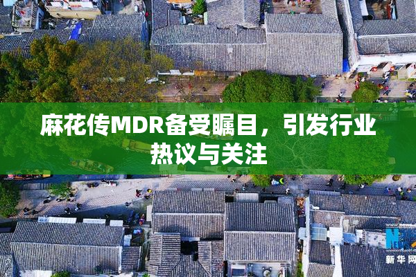麻花传MDR备受瞩目，引发行业热议与关注