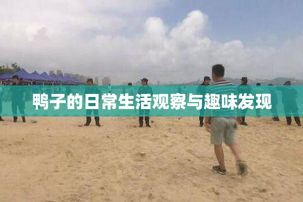 鸭子的日常生活观察与趣味发现