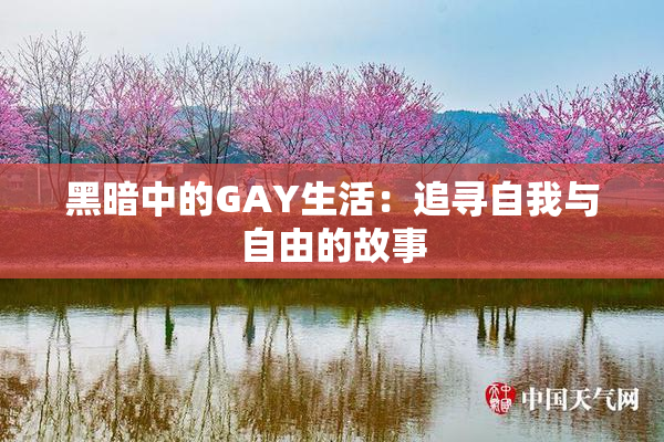 黑暗中的GAY生活：追寻自我与自由的故事