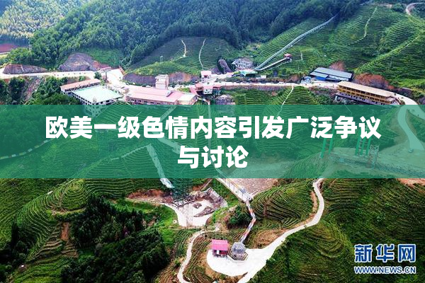 欧美一级色情内容引发广泛争议与讨论