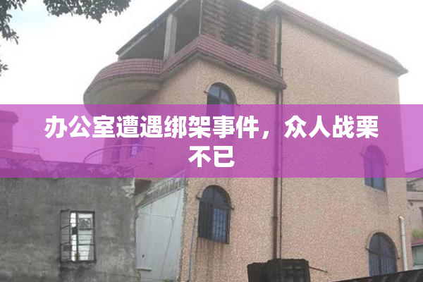 办公室遭遇绑架事件，众人战栗不已