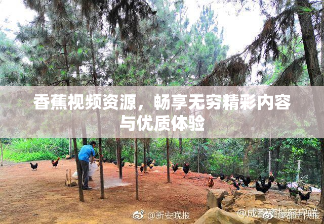 香蕉视频资源，畅享无穷精彩内容与优质体验