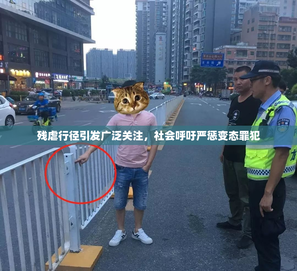 残虐行径引发广泛关注，社会呼吁严惩变态罪犯