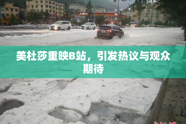美杜莎重映B站，引发热议与观众期待