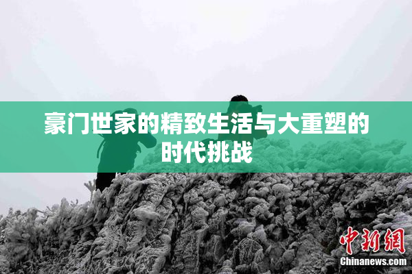 豪门世家的精致生活与大重塑的时代挑战