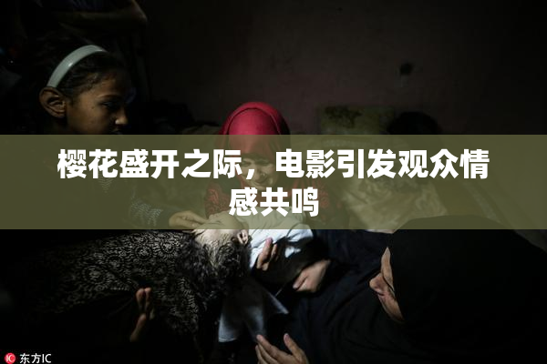 樱花盛开之际，电影引发观众情感共鸣