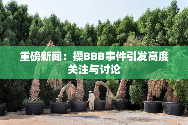 重磅新闻：搡BBB事件引发高度关注与讨论