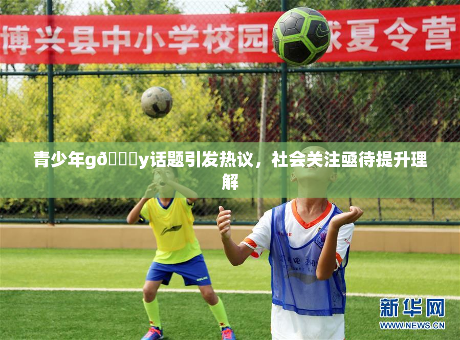 青少年g🈚y话题引发热议，社会关注亟待提升理解
