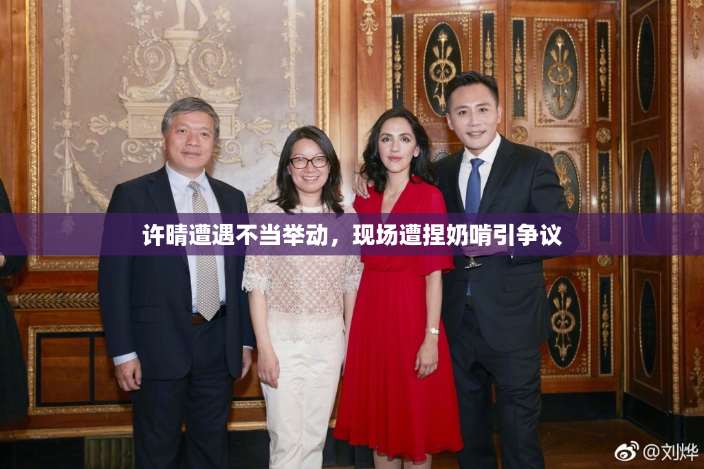 许晴遭遇不当举动，现场遭捏奶啃引争议