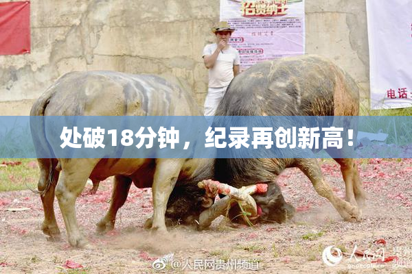 处破18分钟，纪录再创新高！