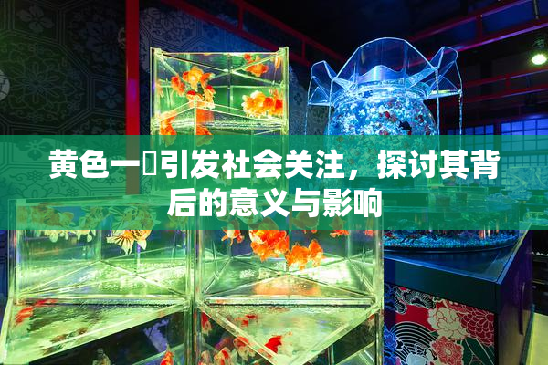 黄色一級引发社会关注，探讨其背后的意义与影响