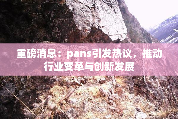 重磅消息：pans引发热议，推动行业变革与创新发展