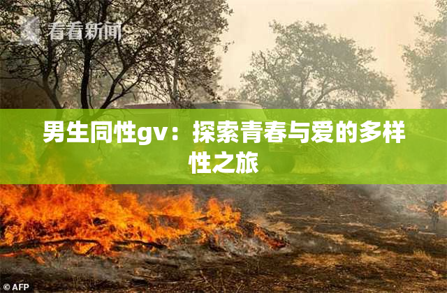 男生同性gv：探索青春与爱的多样性之旅