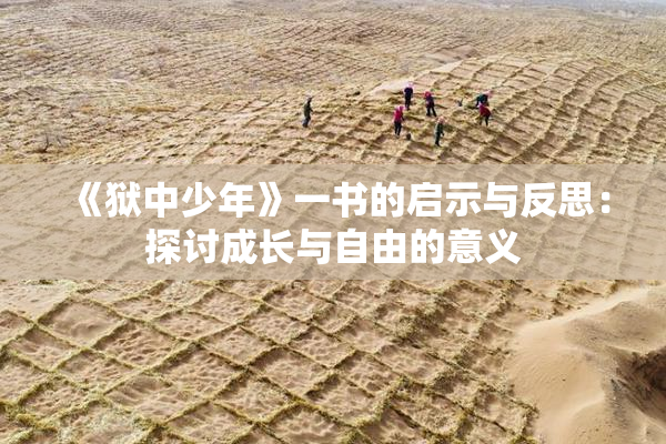 《狱中少年》一书的启示与反思：探讨成长与自由的意义