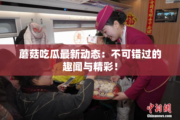 蘑菇吃瓜最新动态：不可错过的趣闻与精彩！
