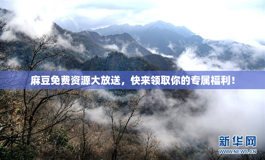 麻豆免费资源大放送，快来领取你的专属福利！