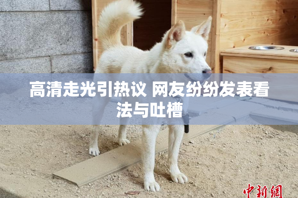 高清走光引热议 网友纷纷发表看法与吐槽