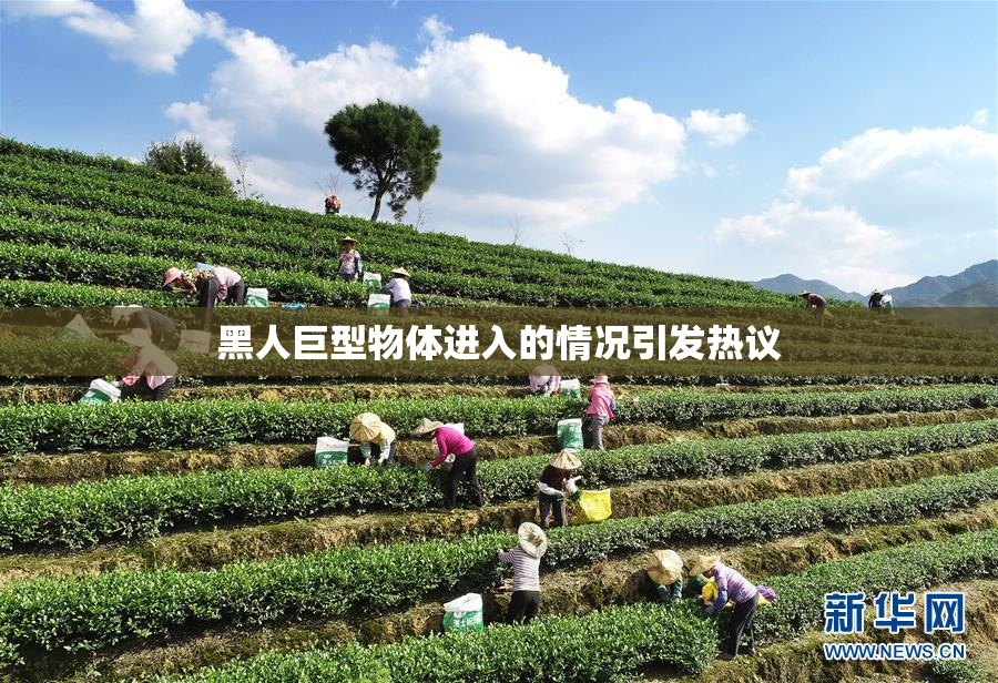 黑人巨型物体进入的情况引发热议