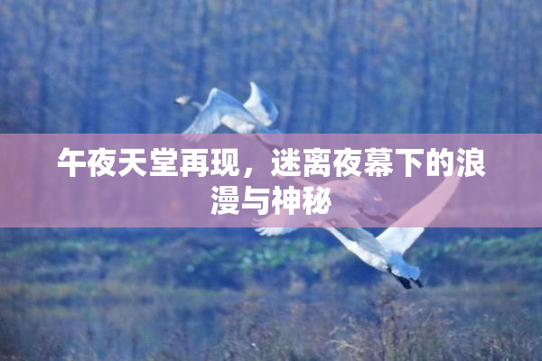 午夜天堂再现，迷离夜幕下的浪漫与神秘