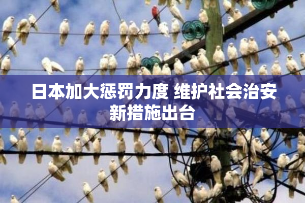 日本加大惩罚力度 维护社会治安新措施出台