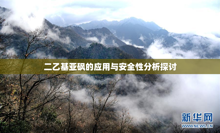 二乙基亚砜的应用与安全性分析探讨