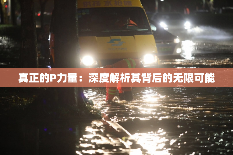 真正的P力量：深度解析其背后的无限可能