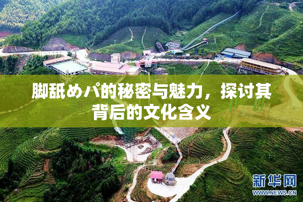 脚舐めパ的秘密与魅力，探讨其背后的文化含义
