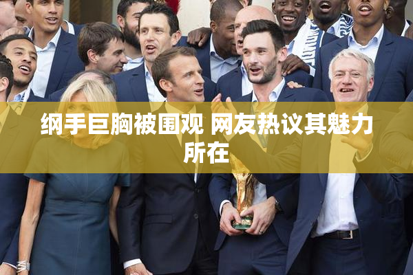 纲手巨胸被围观 网友热议其魅力所在