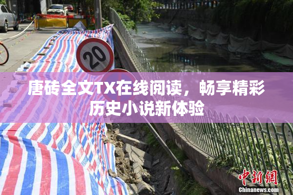 唐砖全文TX在线阅读，畅享精彩历史小说新体验