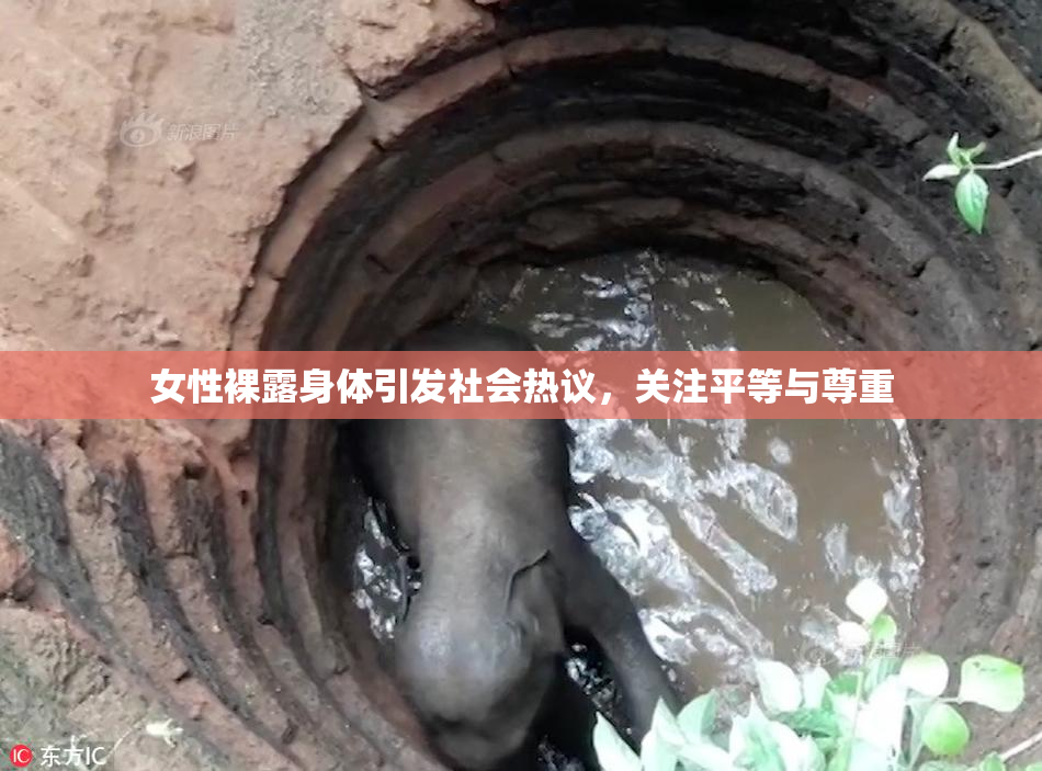 女性裸露身体引发社会热议，关注平等与尊重