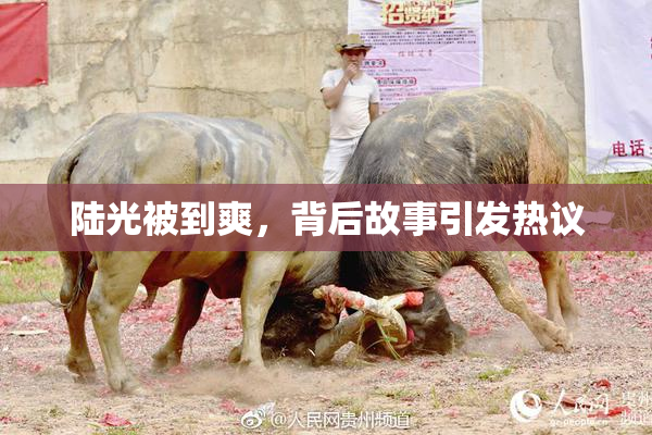 陆光被到爽，背后故事引发热议