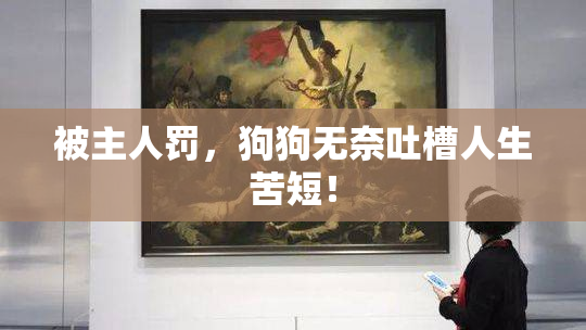 被主人罚，狗狗无奈吐槽人生苦短！