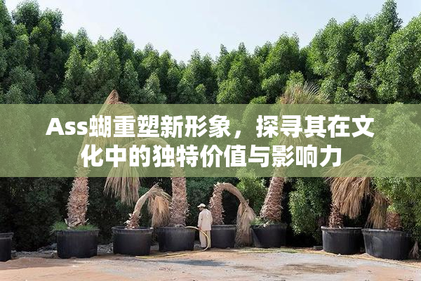 Ass蝴重塑新形象，探寻其在文化中的独特价值与影响力