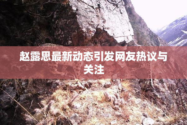 赵露思最新动态引发网友热议与关注