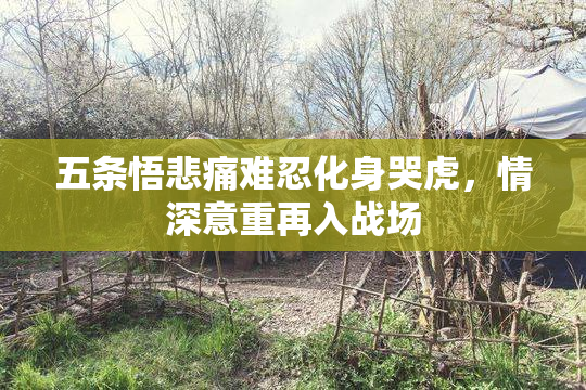 五条悟悲痛难忍化身哭虎，情深意重再入战场