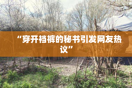 “穿开裆裤的秘书引发网友热议”